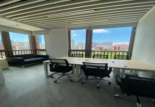 厦门土笋冻代理价格