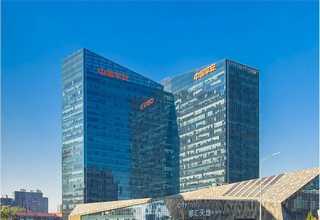 上海大型血红龙价格