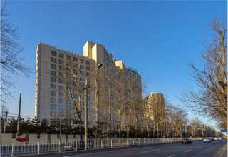 lv皮带养护方法