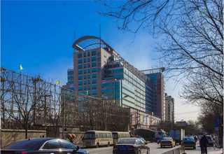 河南普通柴油价钱