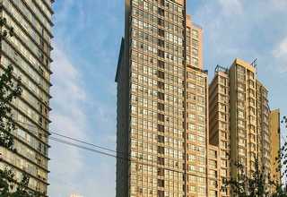 黄浦区甜美Polo衫量大从优