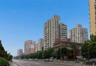 锦州镁砂菱镁交易平台协会